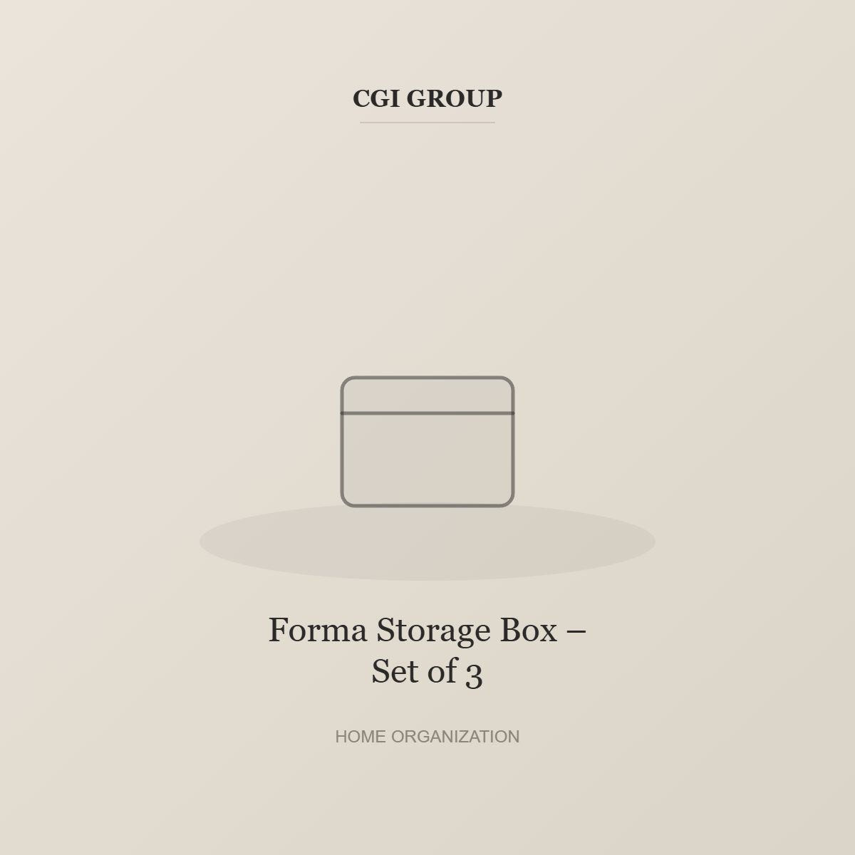 Forma Storage Box – Set of 3 detail – CGI GROUP